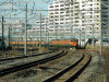 DSCN8606-s.jpg
