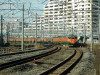 DSCN8607-s.jpg
