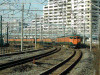 DSCN8608-s.jpg