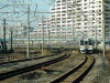 DSCN8626-s.jpg