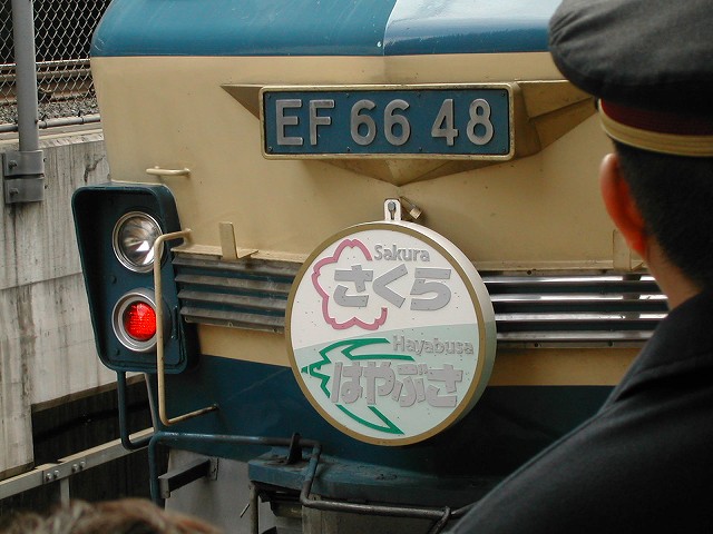 DSCN8765.jpg