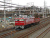 DSCN8812-s.jpg