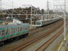 DSCN8831-s.jpg