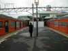 DSCN9044-s.jpg