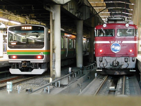 DSCN9237.jpg