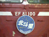 P1000016-s.jpg