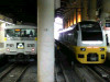 P1000026-s.jpg