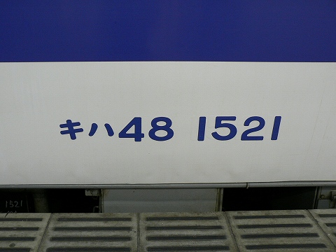 P1000039.jpg