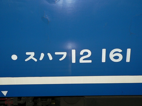 P1000062.jpg