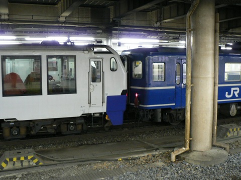 P1000106.jpg