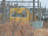P1000129-s.jpg