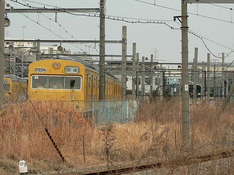 P1000146.jpg