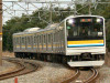 P1000155-s.jpg