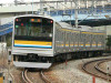 P1000158-s.jpg