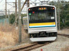 P1000187-s.jpg