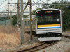 P1000188-s.jpg