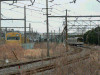 P1000192-s.jpg