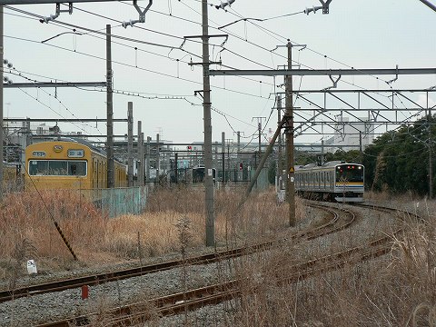 P1000192.jpg