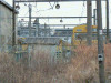 P1000205-s.jpg