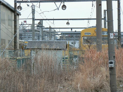 P1000205.jpg