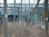 P1000223-s.jpg