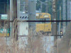 P1000224-s.jpg