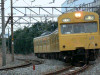 P1000230-s.jpg