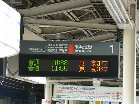 P1000305.jpg