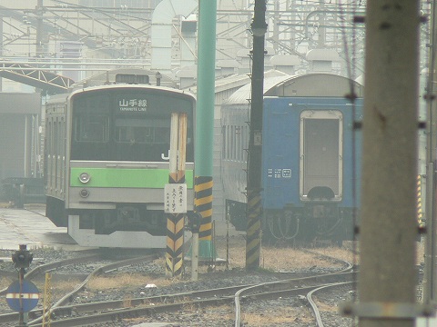 P1000428.jpg