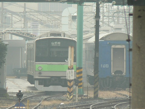 P1000429.jpg