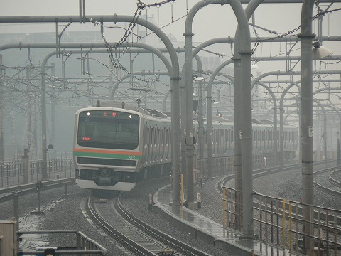 P1000439.jpg