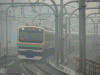 P1000446-s.jpg