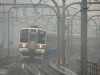 P1000448-s.jpg
