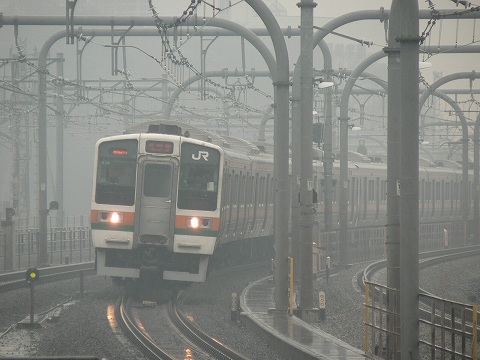 P1000448.jpg