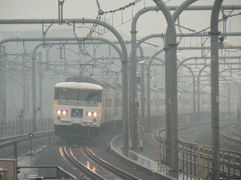 P1000454.jpg