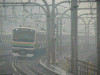 P1000461-s.jpg