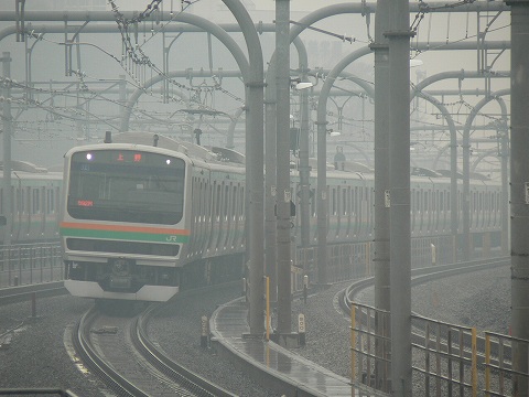 P1000461.jpg