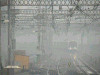 P1000483-s.jpg