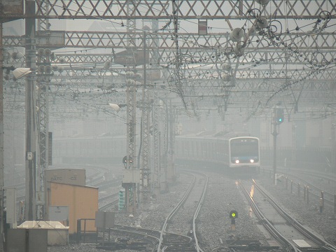 P1000483.jpg