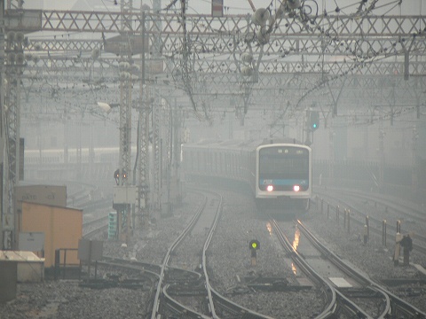 P1000484.jpg