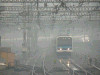 P1000485-s.jpg