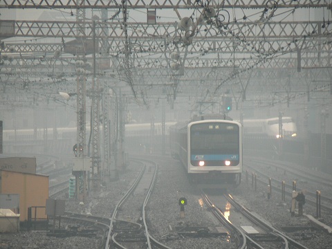 P1000485.jpg