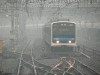 P1000486-s.jpg