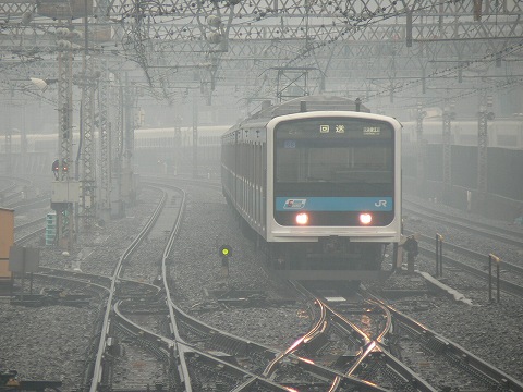 P1000486.jpg
