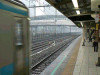 P1000489-s.jpg