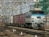 P1000539-s.jpg
