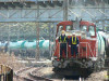 P1000544-s.jpg