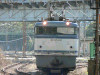 P1000558-s.jpg