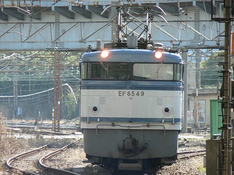 P1000558.jpg