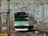 P1000568-s.jpg
